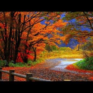 🍁 Autumn 🍂 🎃